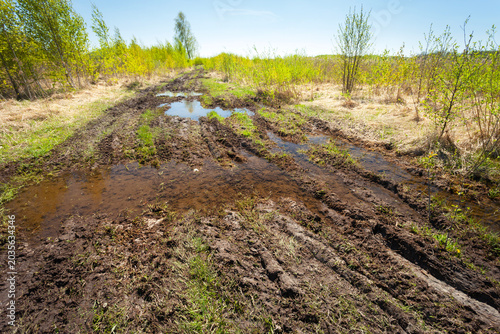 Muddy Road Through Wetland Landscape