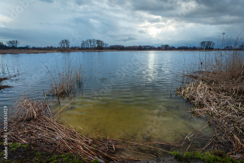 Natural Lake Shore with Reeds and Gray Clouds