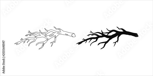 Photos Black and white of two branches with intricate twigs