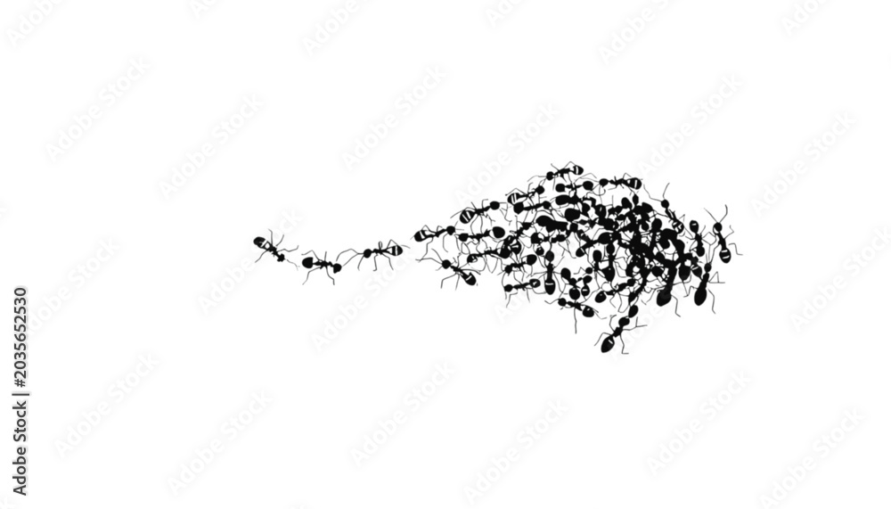 Naklejka premium A swarm of ants moves in a line and then clusters together against a white background.