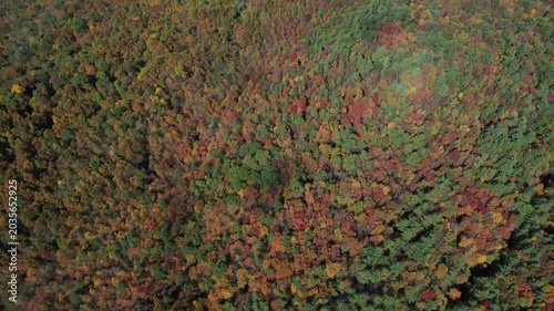 4k aerial over Vermont forrest in the fall
