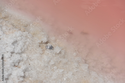 Wedding ring resting on white salt crystals