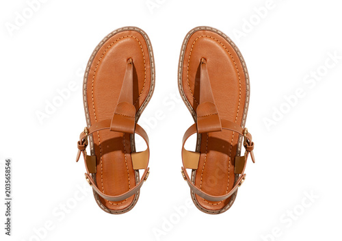 Konstfotografi Pair of Tan Leather Thong Sandals Front View Isolated on White - Women's Flat Bu