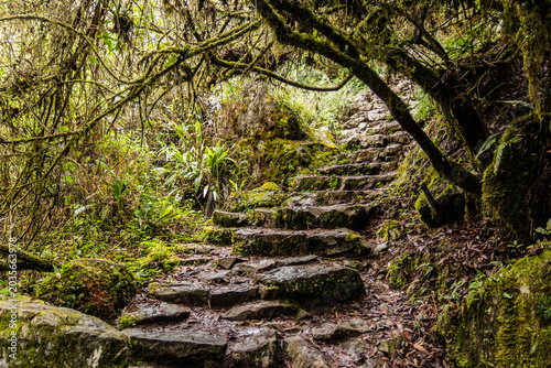 Canvas Print Steps leading to Machu Picchu mountain, Peru
