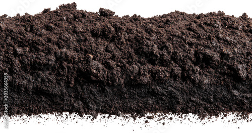 Tableau sur toile Soil Banner side view - Transparent PNG Background