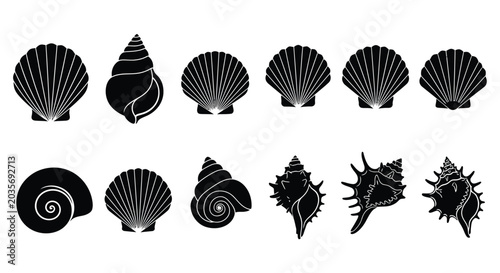 Foto Collection of black and white seashell silhouettes arranged in neat rows