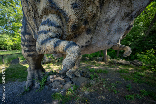 Close-up of a Tyrannosaurus rex toy's short front arm.