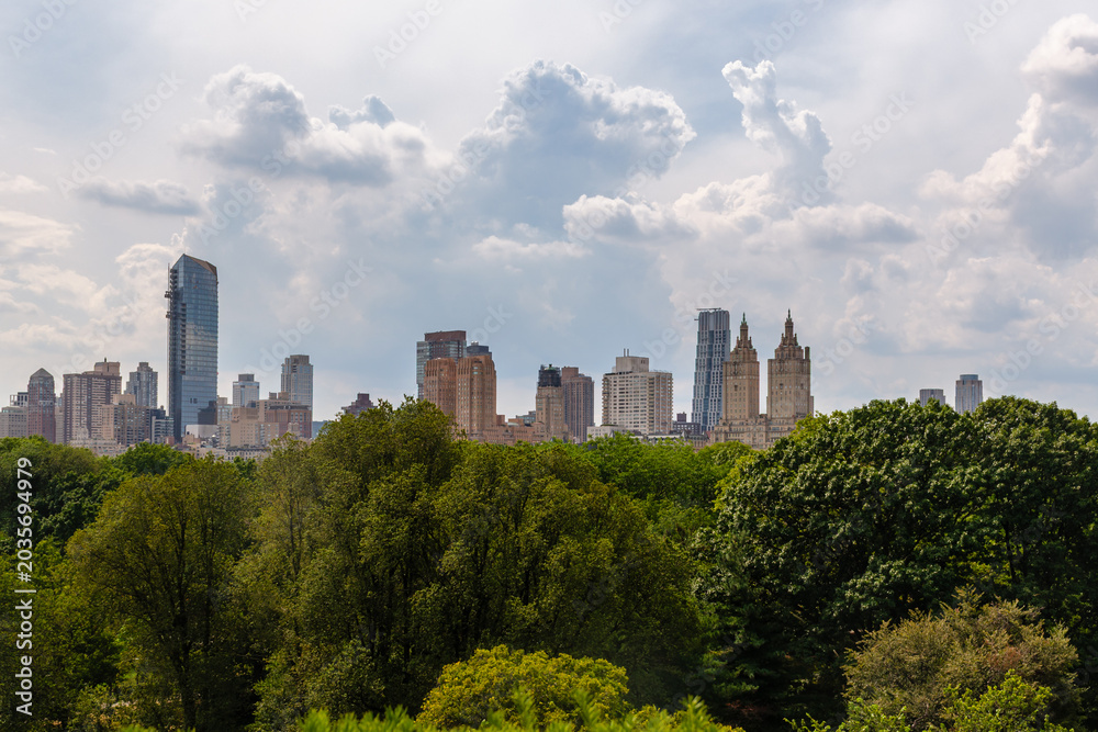 Obraz premium Central Park Treetops with Manhattan West Side Skyline, New York City