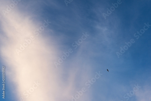 Clouds at sunset on the sky.