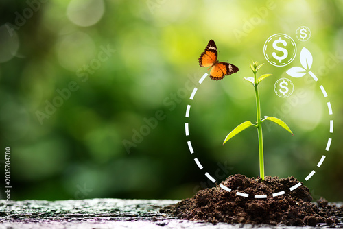Tree growth and icons on natural background.Finance for Sustainability concept.