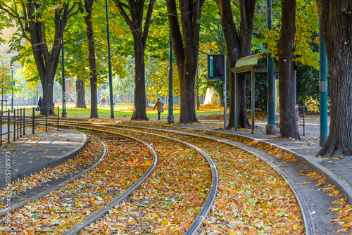 Autumn Leaves Covering Tram Tracks