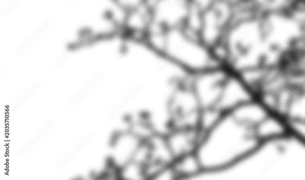 Fototapeta premium Organic black shadow form with layered edge on white bright clean background