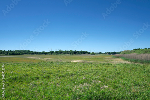 Dreifelder Weiher der Westerwälder Seenplatte nach Ablassen des Wassers wegen Reparaturarbeiten im Mai 2026 - Stockfoto