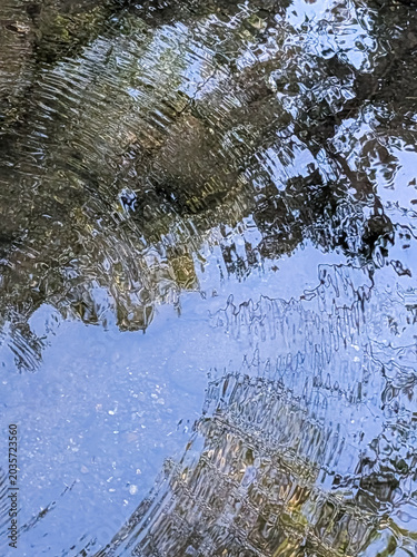 Abstract Water Reflection with Gentle Ripples Distorting Trees and Sky in Natural Light
