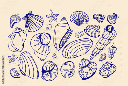 Konstfotografi A large set of linear hand-drawn outlines of mollusc shells and sea snails with