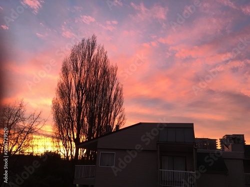 sunset in the city