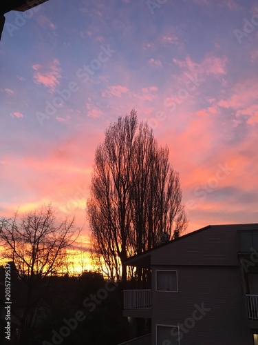 sunset in the city