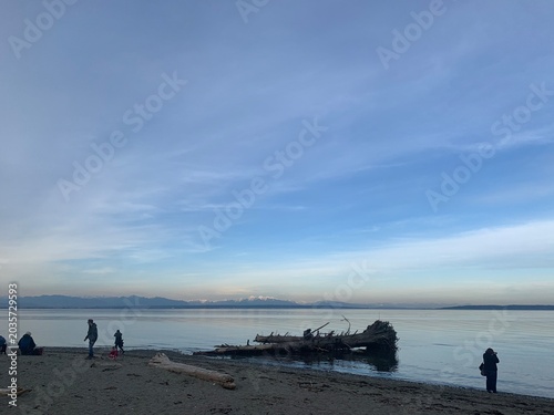 people on the beach
