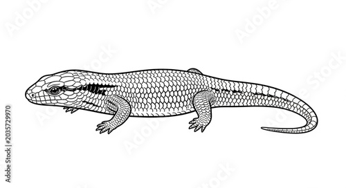 Foto Detailed illustration of a skink lizard in black and white.