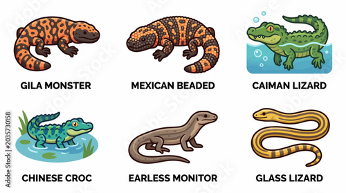 A group of reptiles including a Gila monster, Mexican beaded lizard, and Caiman lizard are displayed alongside a Chinese crocodile, earless monitor, and glass lizard.