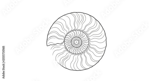 Foto Detailed illustration of an ancient ammonite fossil shell.