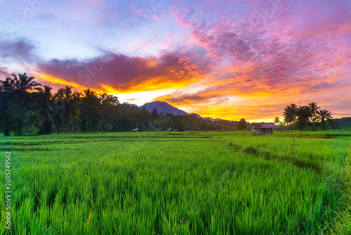 The natural beauty of the Indonesian mountains with beautiful tropical forests at sunrise