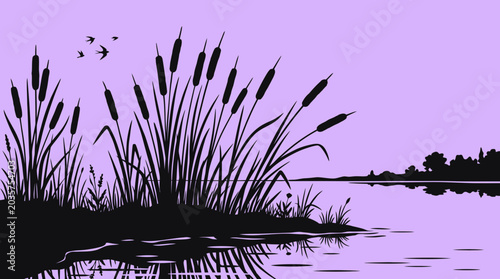 Silhouette of cattails by water.