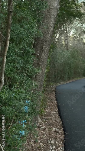Panning shot of forest path winding along paved trail through wooded park with trees and undergrowth in shaded afternoon overcast light