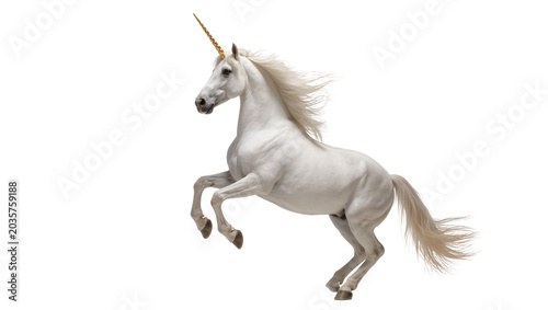 Isolated majestic white unicorn with golden horn rearing up powerfully, dynamic mythical fantasy creature
