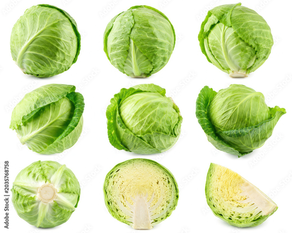 Fototapeta premium Collection of Fresh Green Cabbage Heads Isolated on White Background