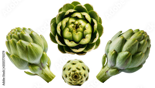 Bild auf Leinwand Isolated fresh green globe artichokes arranged from various angles, top, side an