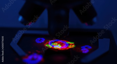 Vibrant fluorescent cells under advanced microscopy showcasing intricate cellular structures and organelles.