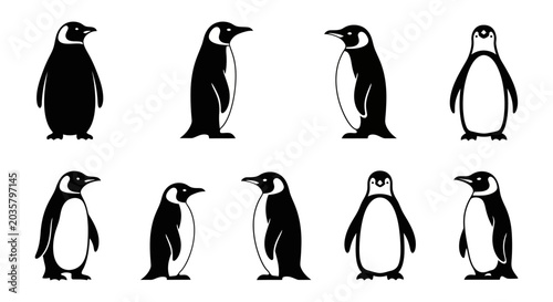 Collection of Penguin Illustrations in Various Poses.