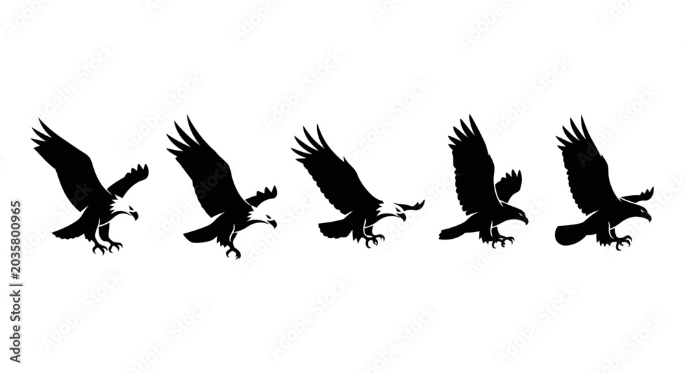 Fototapeta premium Sequence of eagle in flight showing wing movement.