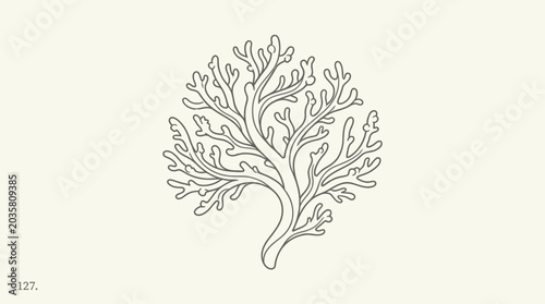 Obraz na plátně Delicate Branching Coral Illustration - Minimalist Line Art