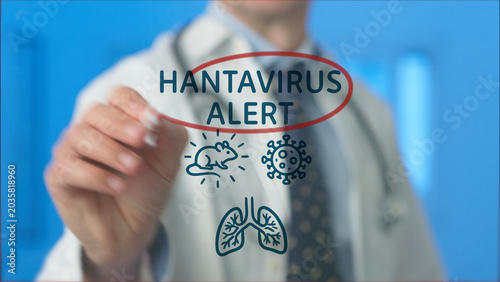 Healthcare professional presenting a warning about hantavirus. Displaying related icons for rodent transmission. Virus structure. And affected human lungs. Emphasizing disease awareness and prevention