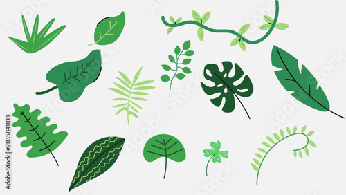 Cuadro en lienzo Tropical exotic green leaves vector set with monstera, palm, and jungle foliage