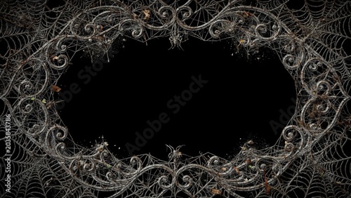 Gothic Ornate Frame with Spiderwebs