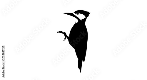 Bild auf Leinwand Woodpecker Silhouette on White Background