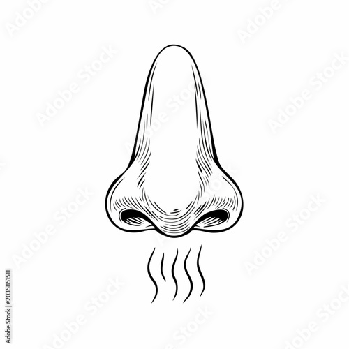 Close up of a human nose emitting scent lines in a sketch art style