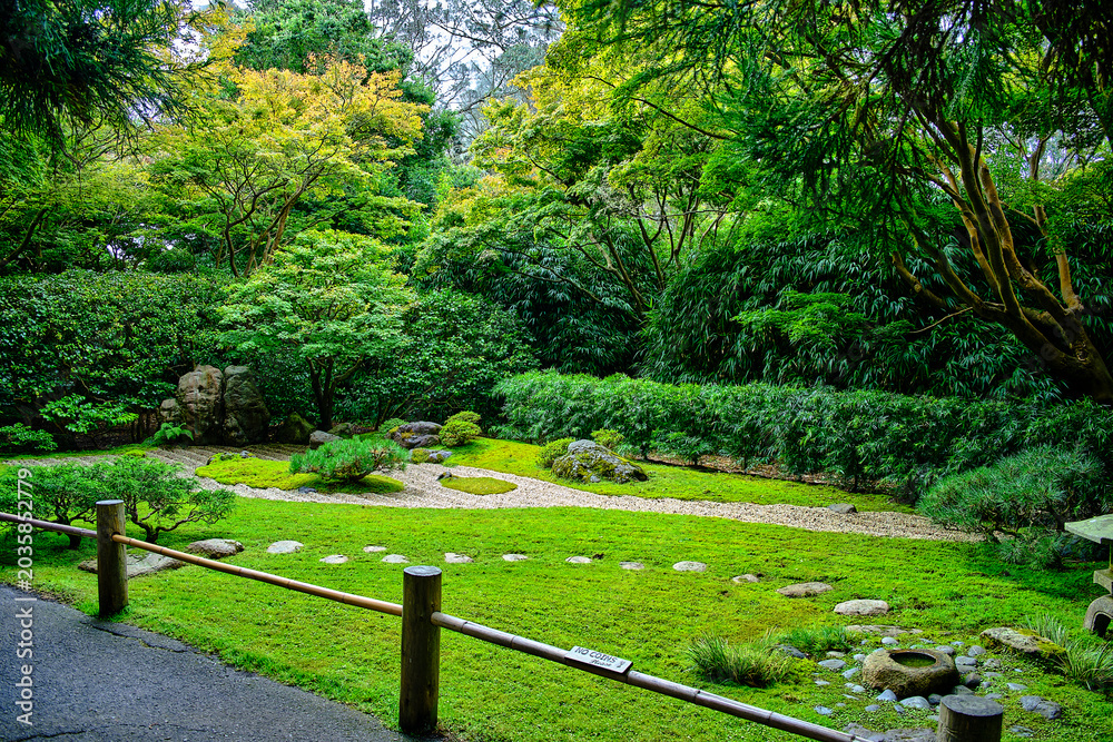 Fototapeta premium A partially shaded Japanese Tea Garden