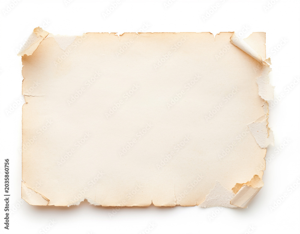 Fototapeta premium 端が破れた紙 / Paper with Torn Edges