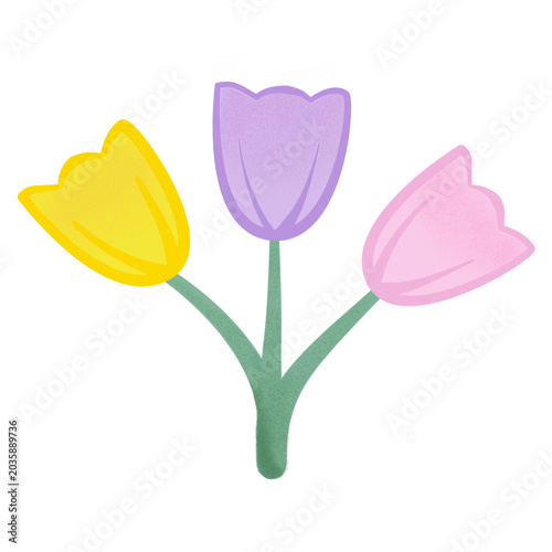 Bouquet flower of yellow purple pink tulips 