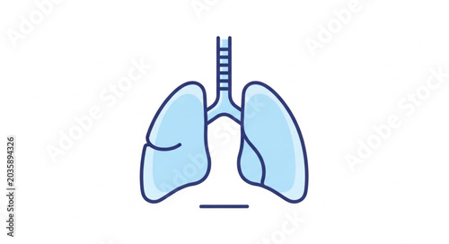 Bilde på lerret Human Lungs Anatomy Medical Illustration.