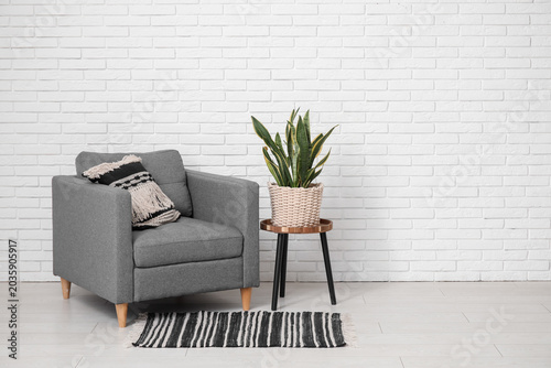 Armchair, table and sansevi...