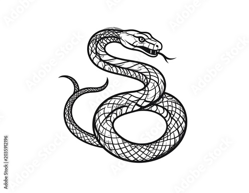 Detailed Coiled Snake Illustration with Extended Tongue on Plain Background