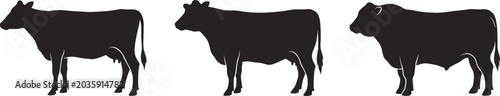 Minimalist cow heifer and bull silhouette vector illustrations showing farm animal body shapes for agriculture and decorative artwork