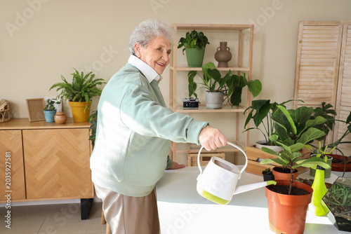 Senior gardener watering pl...