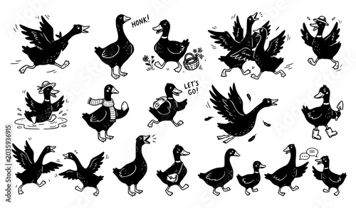 Photography Flying and Walking Duck Bird Silhouette Collection Vector