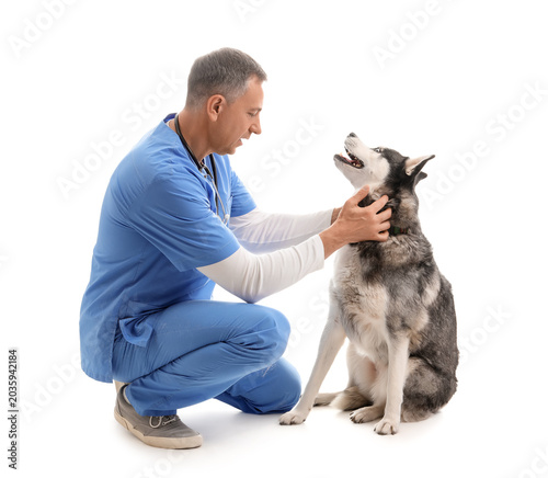 Male veterinarian with cute...
